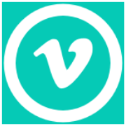 VidShaper Logo – Fulcrum Ventures